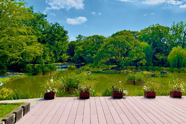 テラスイメージ